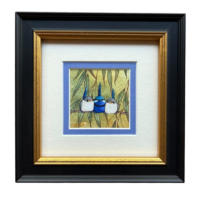 Splendid Fairy Wren Trio - Light Blue 2026