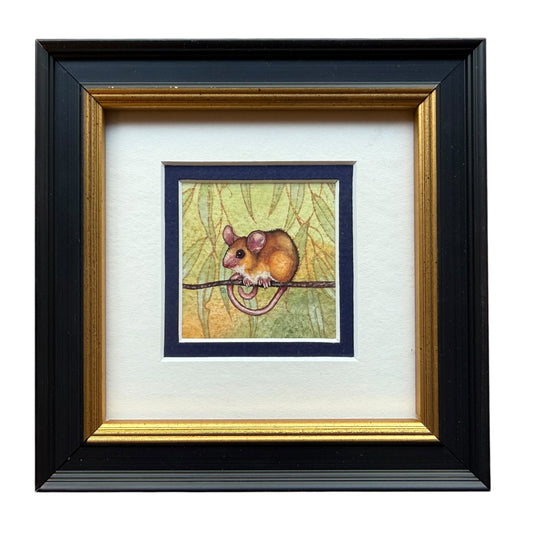 Pygmy Possum - Navy Blue 2026