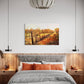Soft Afternoon Light