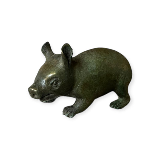 Hairy-Nosed Wombat Joey 1 of 50