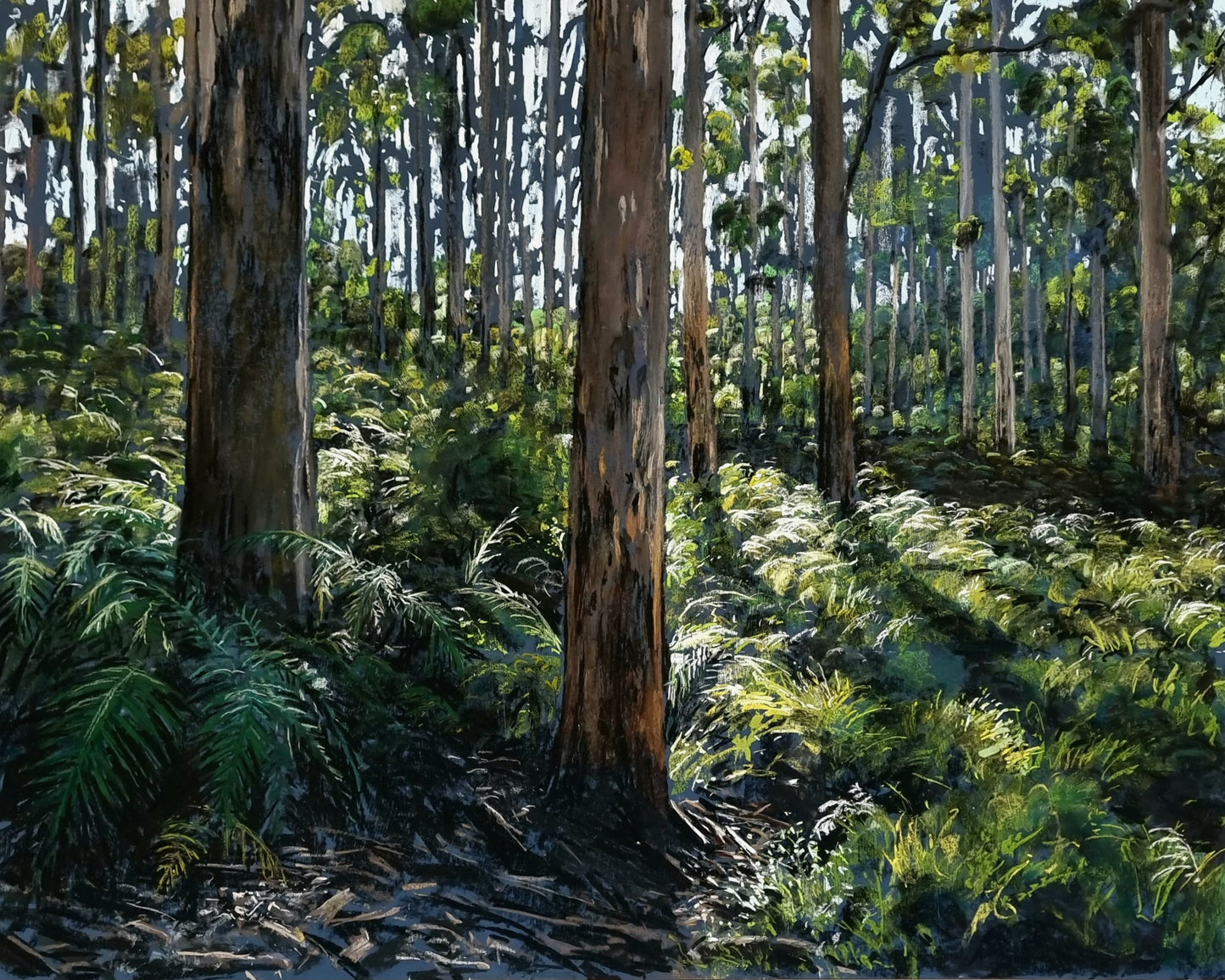 Boranup Forest View