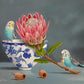 Two Budgies & Protea