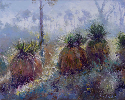 Light Between, Redgate Bush - Jan 2026