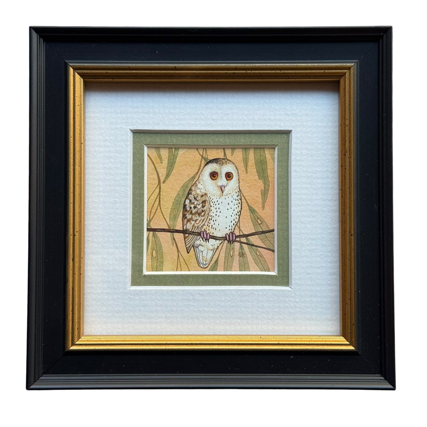 Barn Owl - Olive 2026