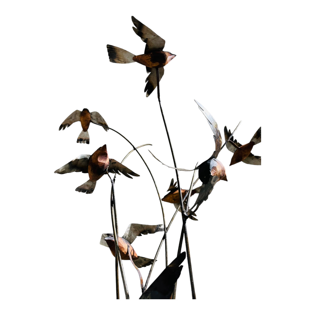 Birds in Collaboration - MRROS 2023