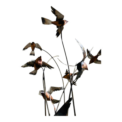 Birds in Collaboration - MRROS 2023