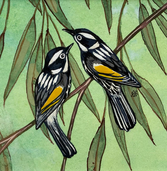 New Holland Honeyeater - Soft Green 2026