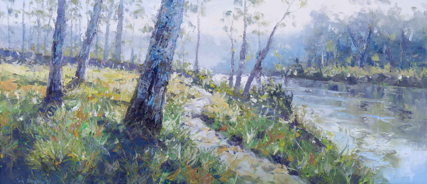 Eucalypt Discovery, Margaret River  - Jan 2026