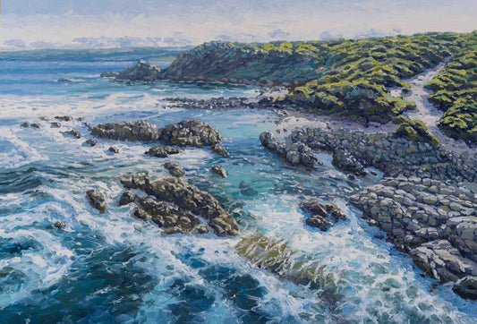 Movement and Colour, Aquarium - Jan 2026