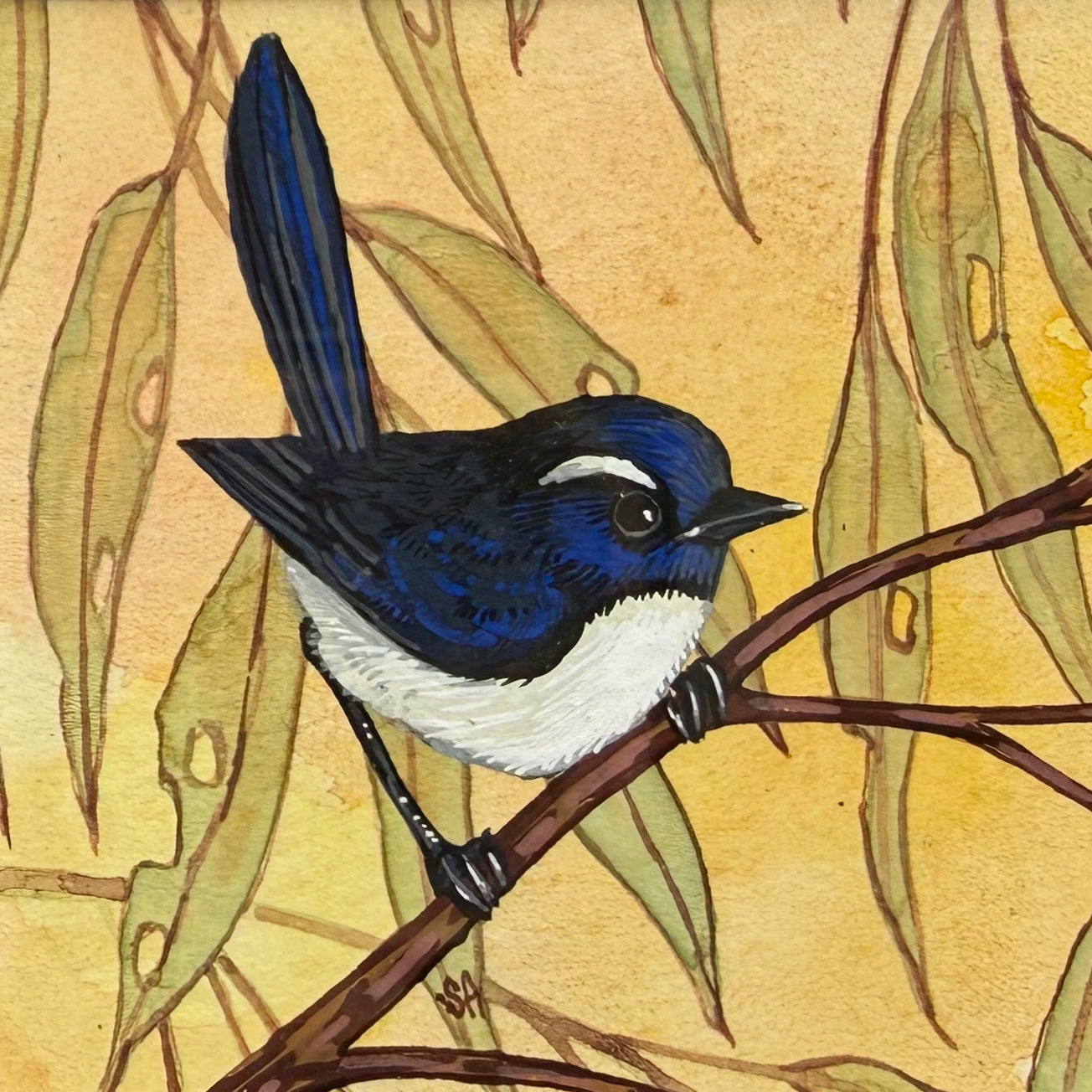 Willy Wag Tail - Navy, Spring 2026