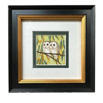 2 Barn Owl, Spring 2026