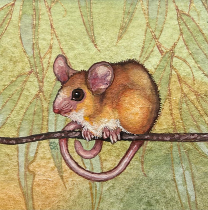 Pygmy Possum - Navy Blue 2026