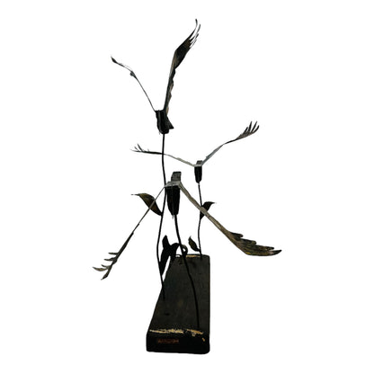 Mammoth Black Cockatoo Trio - MRROS 2023
