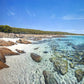 Looking Towards Point Picquet, Meelup