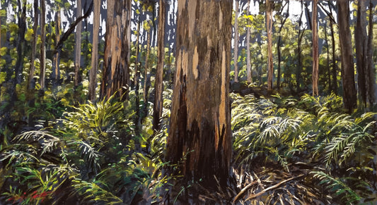 Boranup Forest