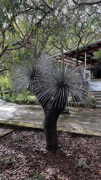 Grass Tree XVI