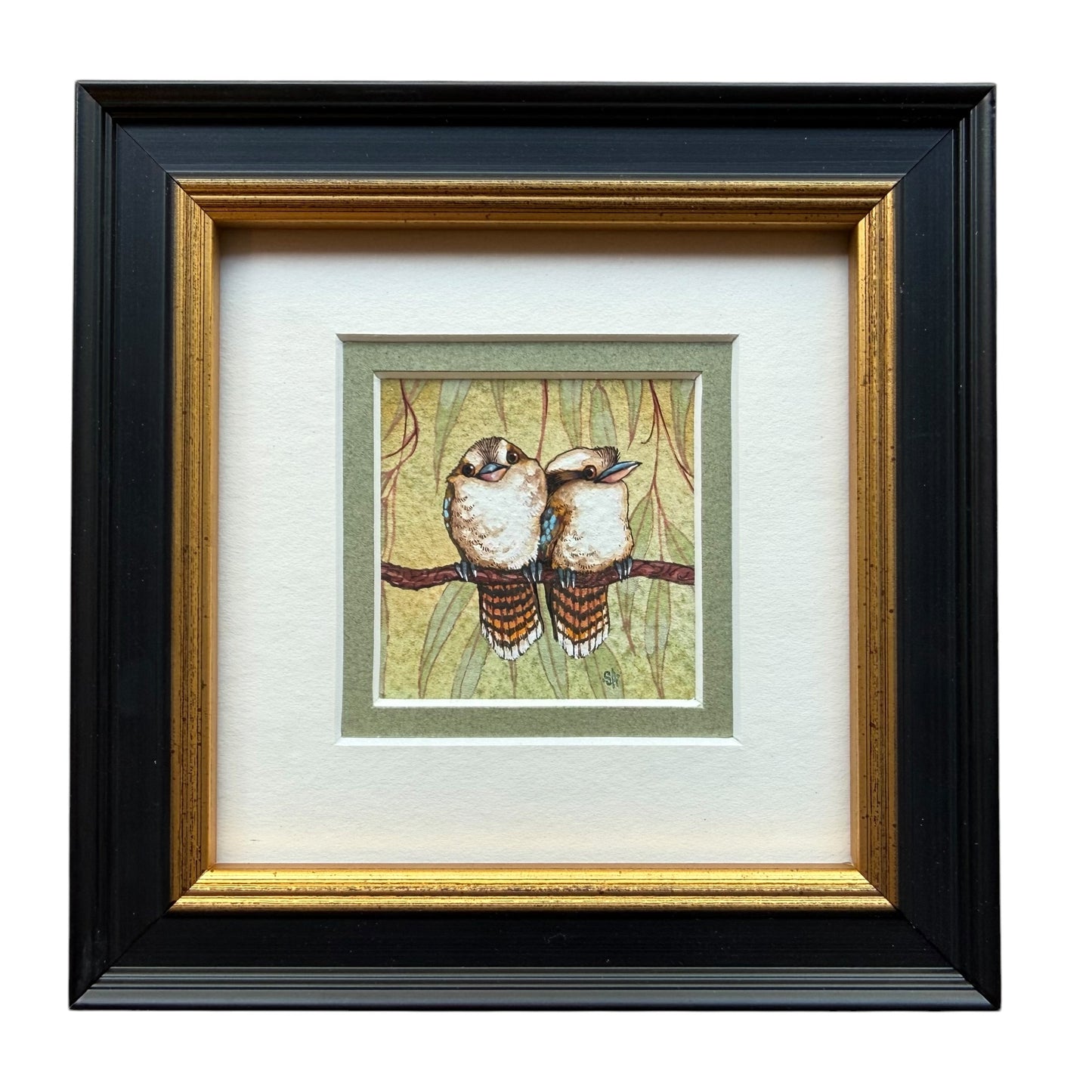 Kookaburra Duo - Olive Green 2026
