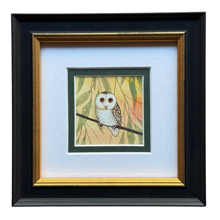 Barn Owl - Forest Green Winter 2026
