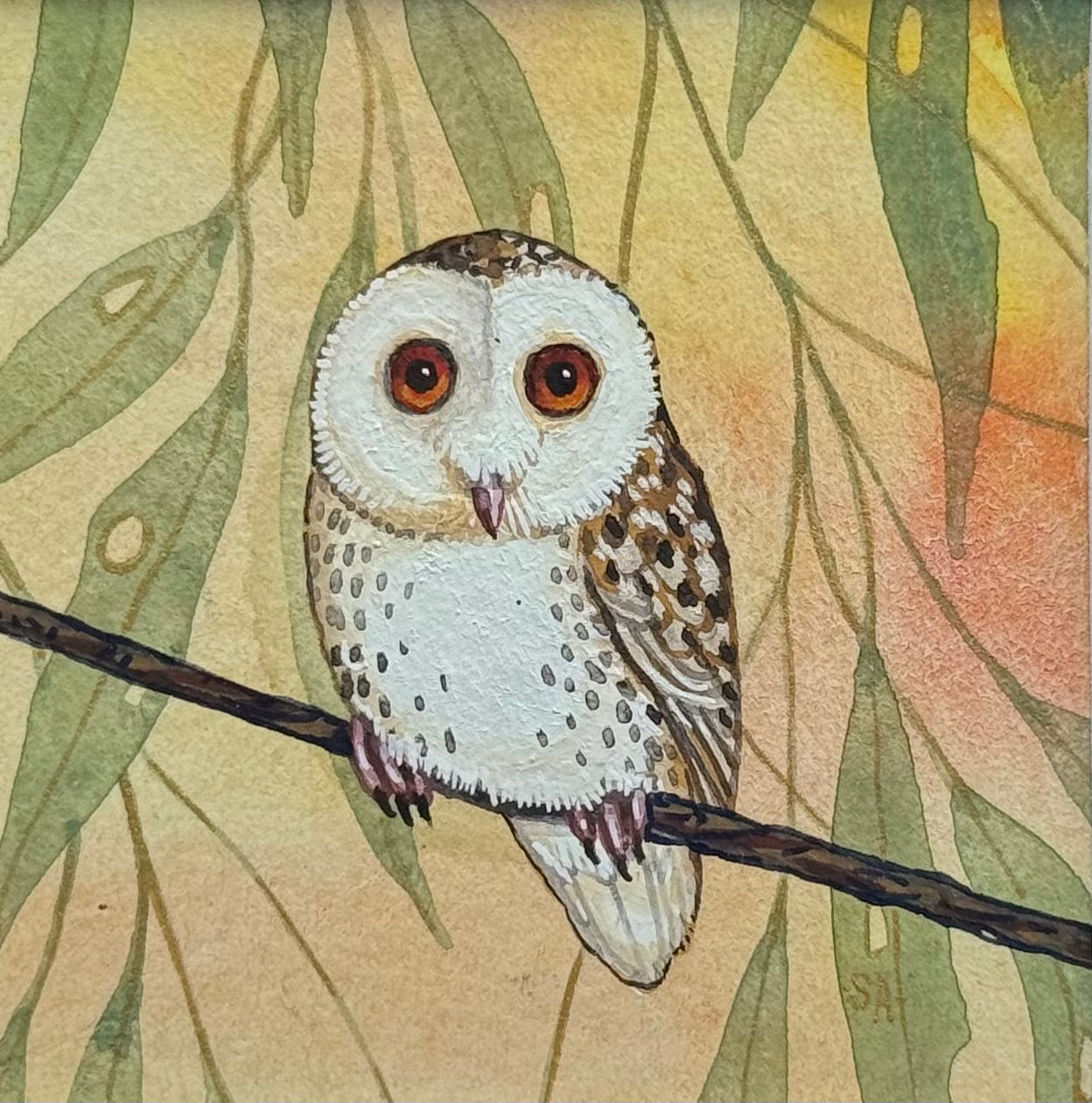 Barn Owl - Forest Green Winter 2026