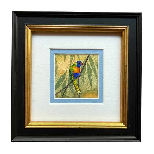 Rainbow Lorikeet - Light Blue 2026