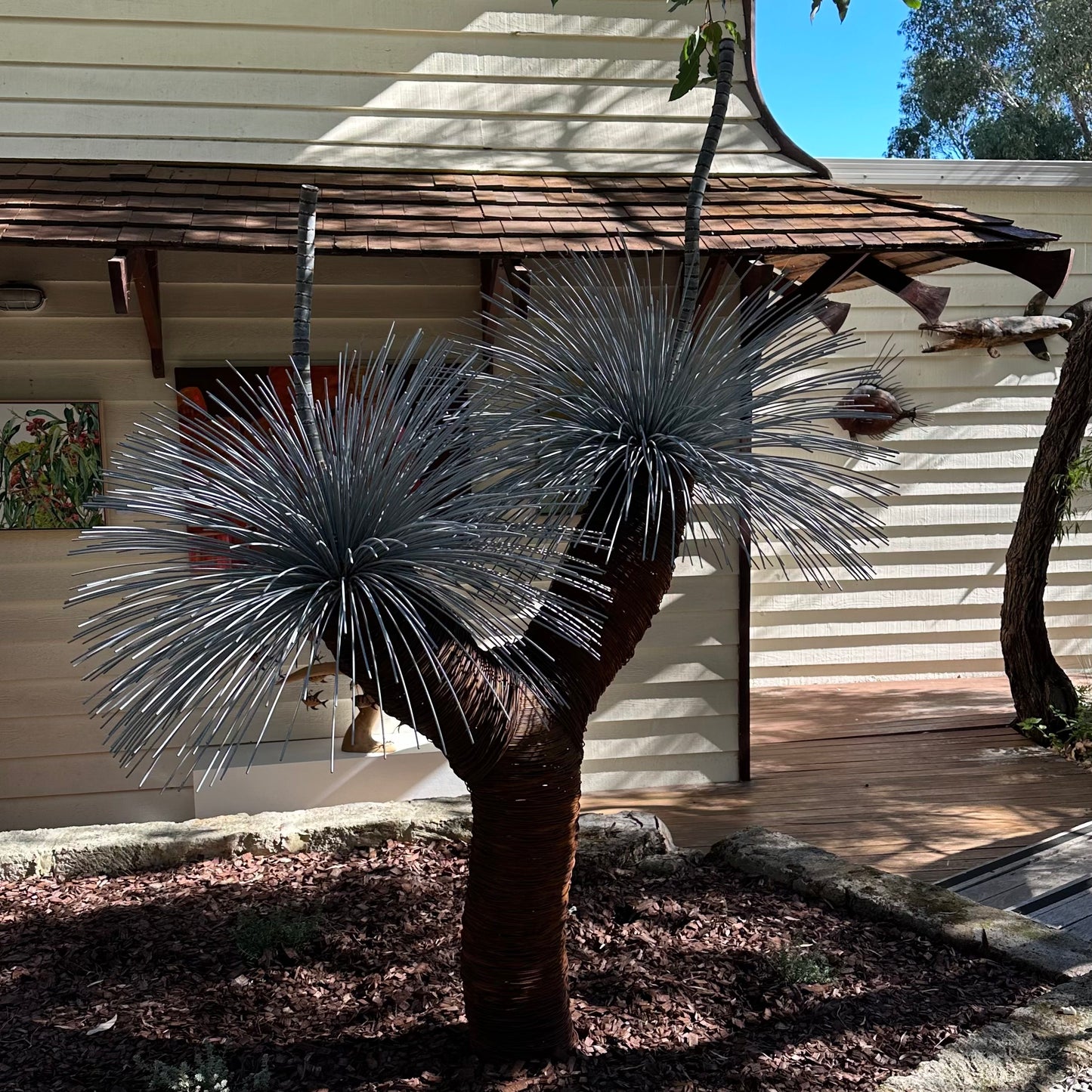 Grass Tree XV