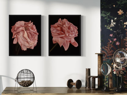 Rose II