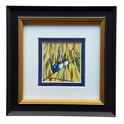 Splendid Fairy Wren Trio - Navy Winter 2026