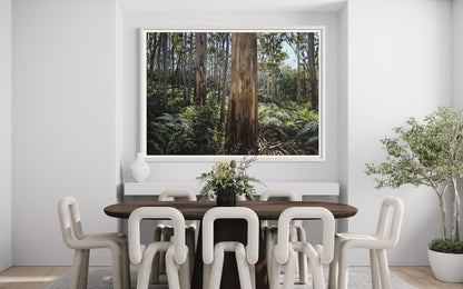 As It Was, Boranup Forest