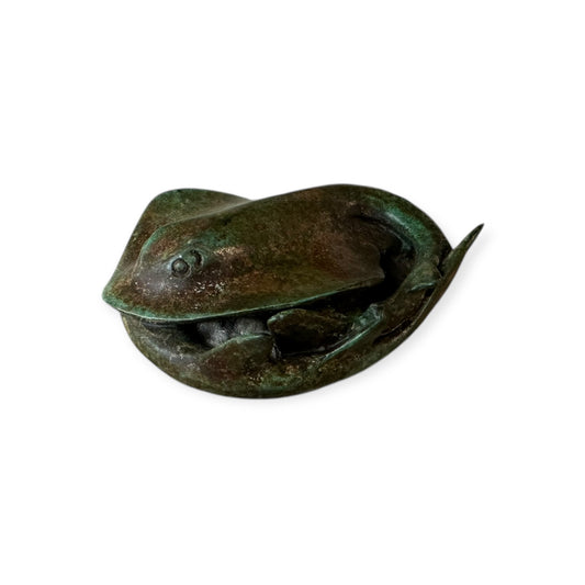 Two Fiddler Rays 6 of 50