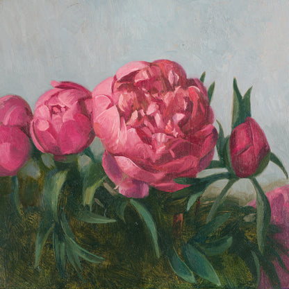 Peonies 2025