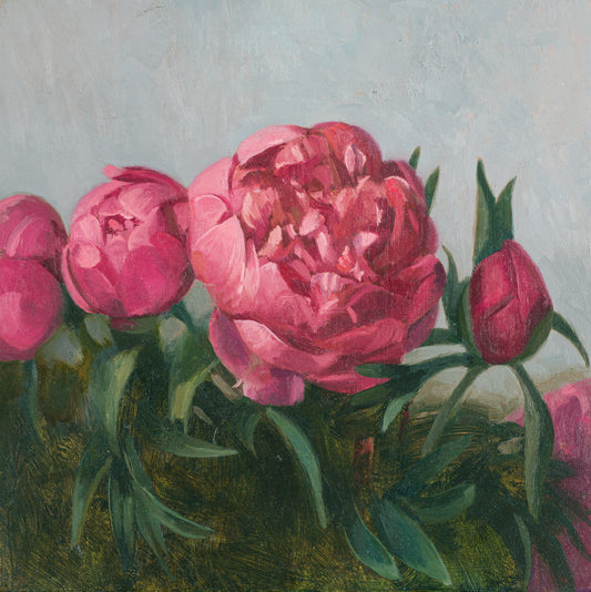 Peonies 2025