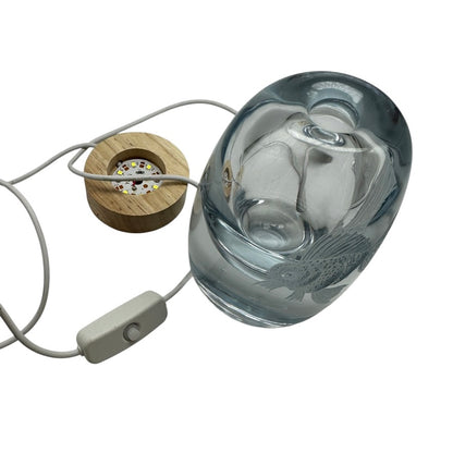 Fish Bowl - LED Light