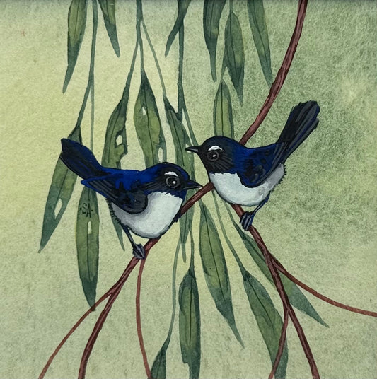 Willy Wag Tail Duo 2026