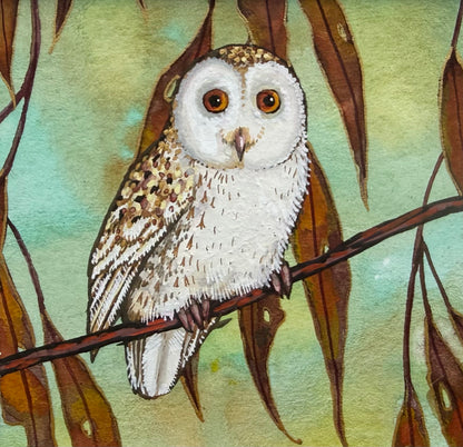 Barn Owl - Soft Green 2026