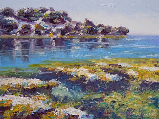 Reef Surprise, Cape Mentelle - Jan 2026