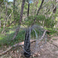 Grass Tree, Black Ceramic & Wire - extra small