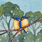 Two Kingfishers, Deep Blue
