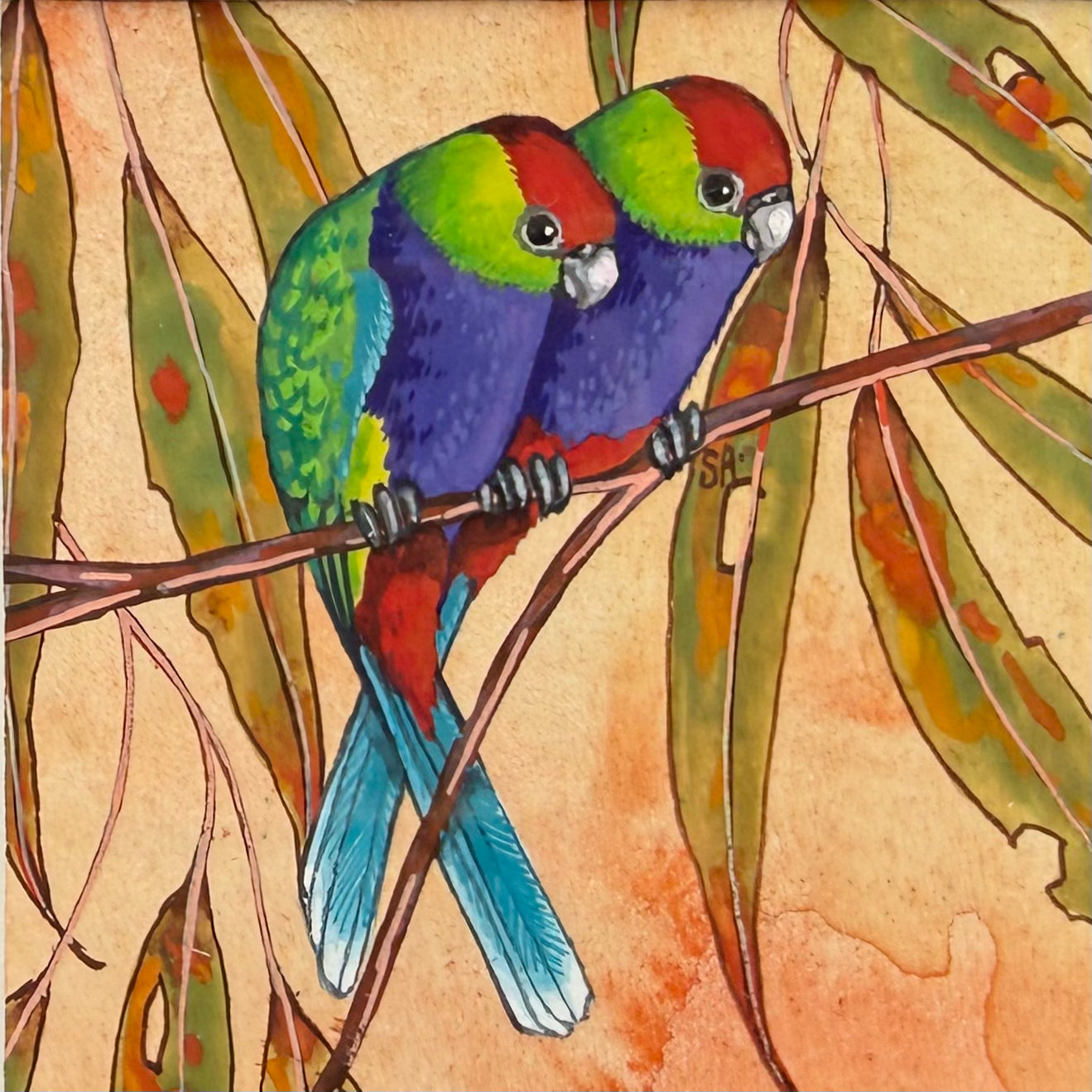 Red Capped Parrot Duo - Navy, Spring 2026