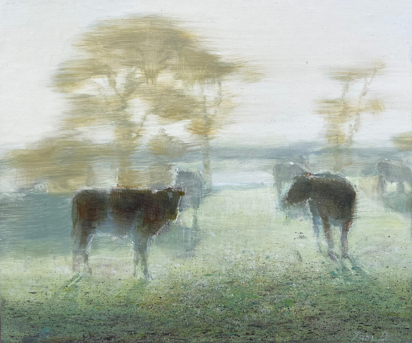 Fresh Morning, Witchcliffe