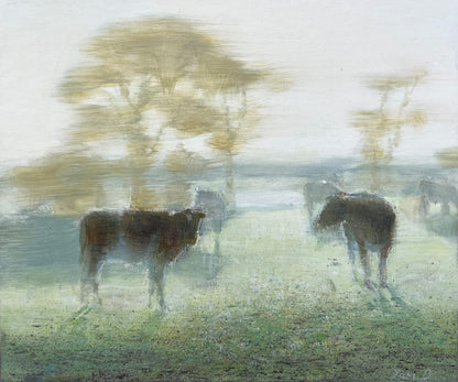 Fresh Morning, Witchcliffe