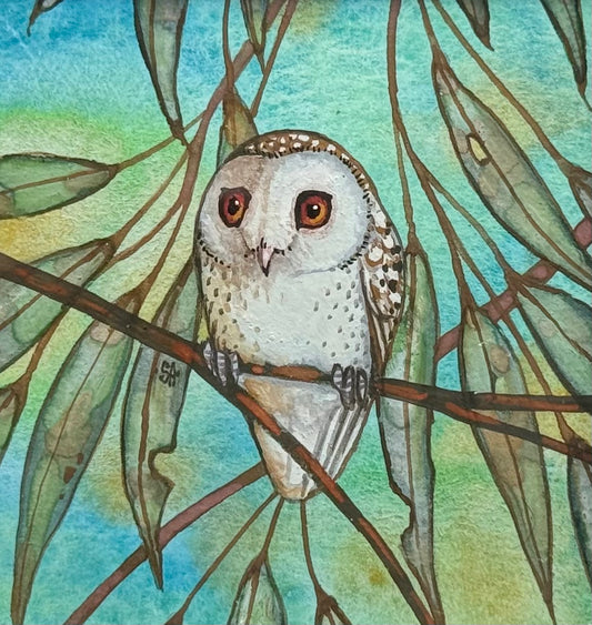 Barn Owl - Soft Green Winter 2026