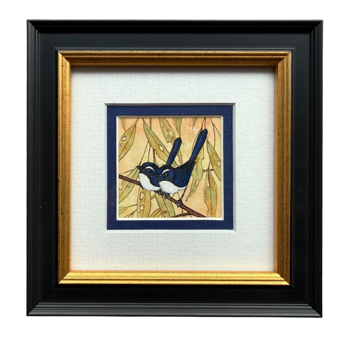 Willy Wag Tail Duo - Navy, Spring 2026