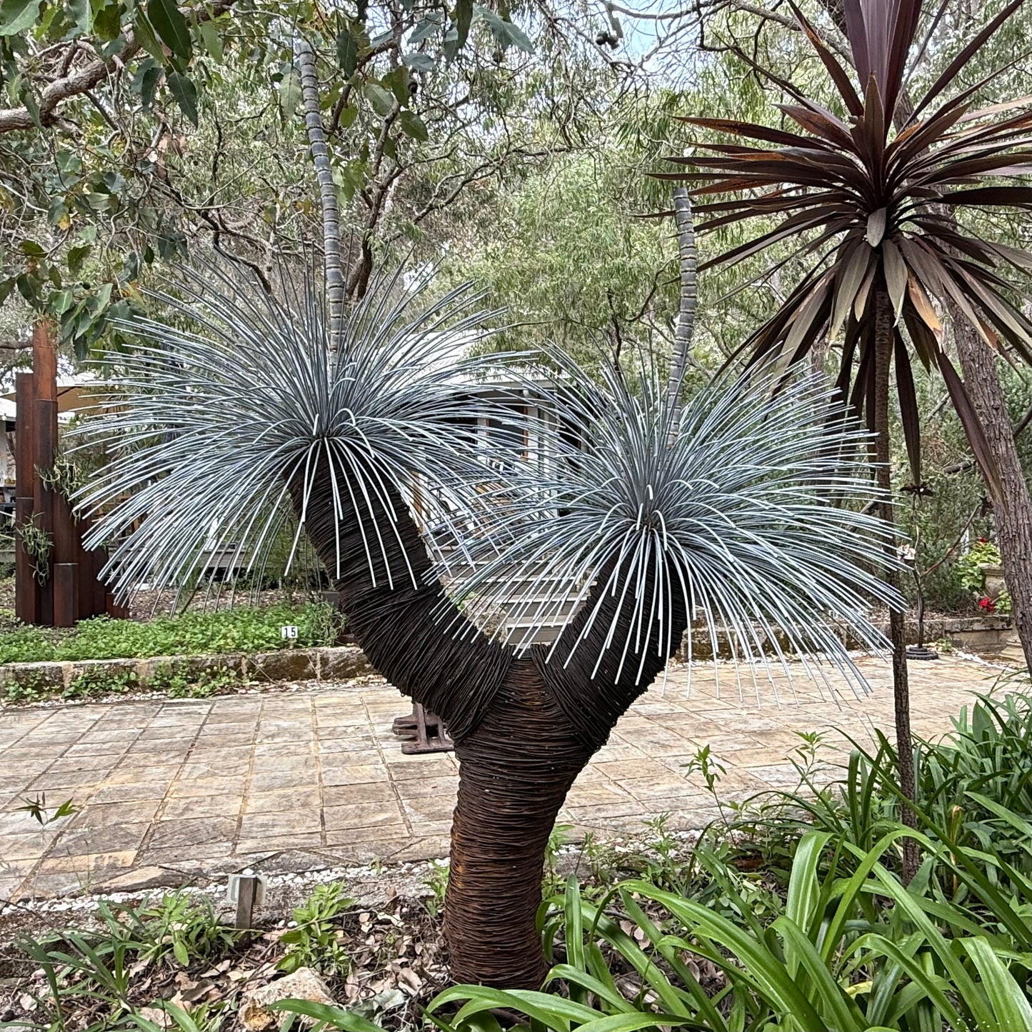 Grass Tree XII