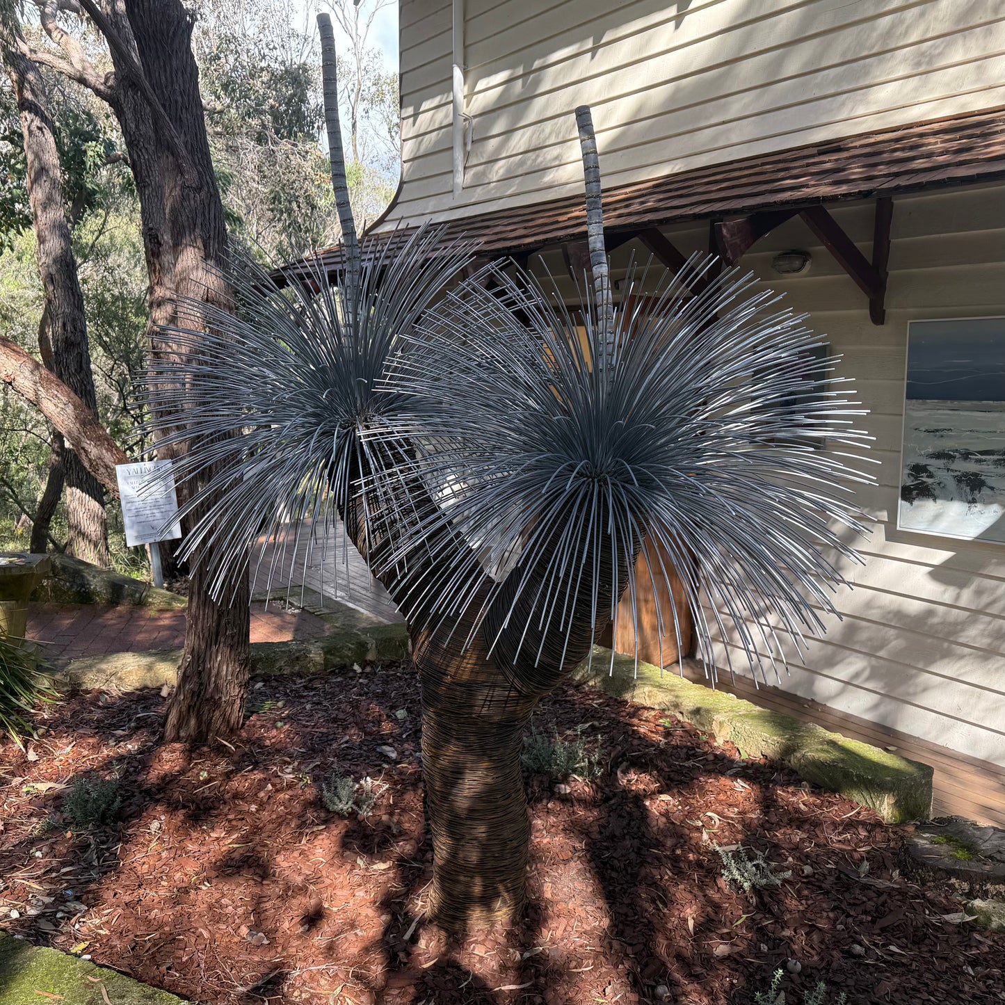 Grass Tree XVIII