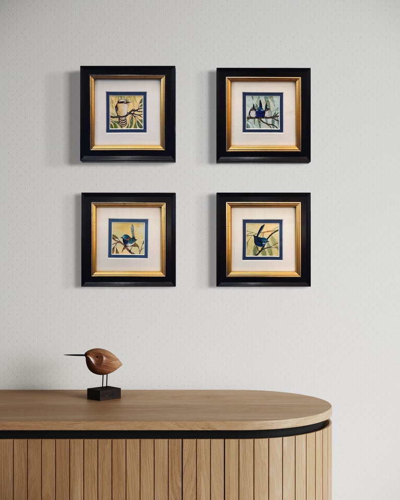 New Holland Honeyeater - Pair