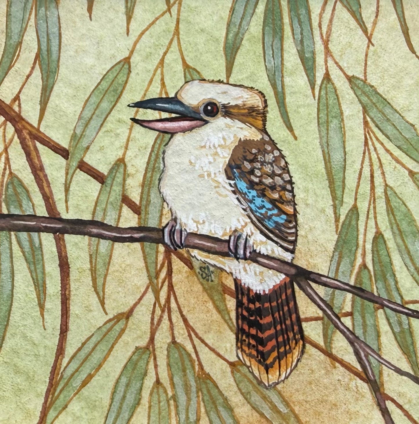 Kookaburra - Olive Green 2026