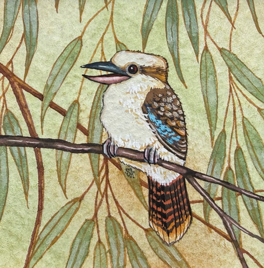 Kookaburra - Olive Green 2026