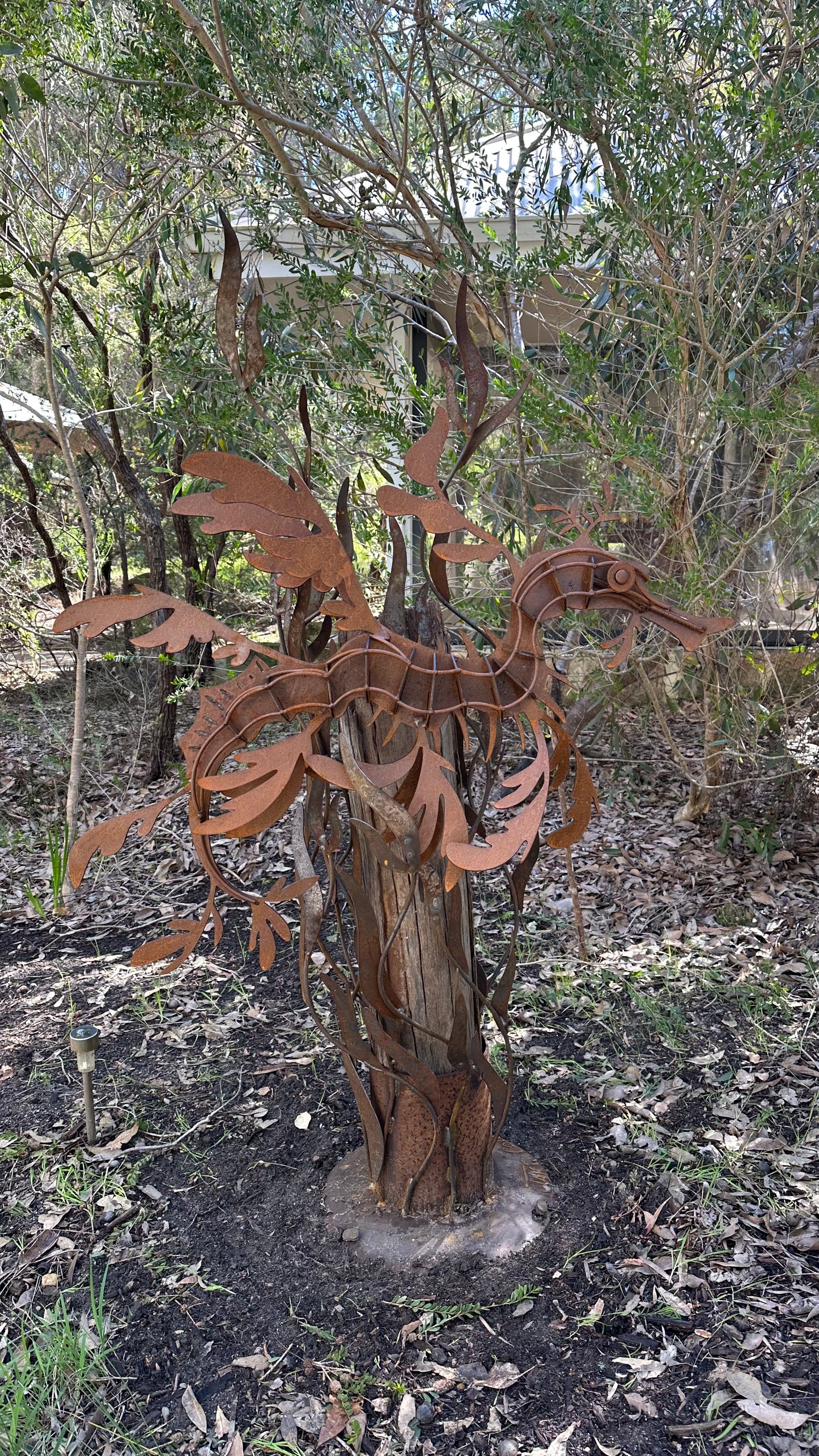 Sea Dragon