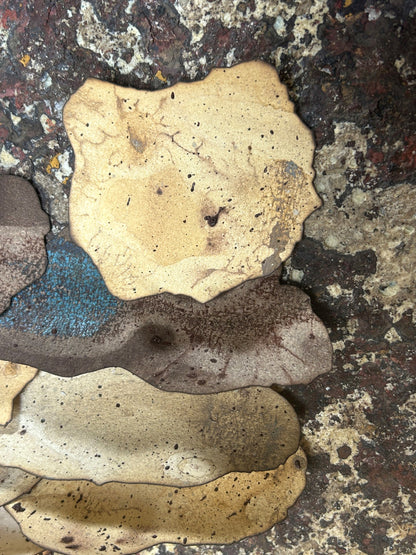 What Grows After | O que cresce depois - Confluence Exhibition