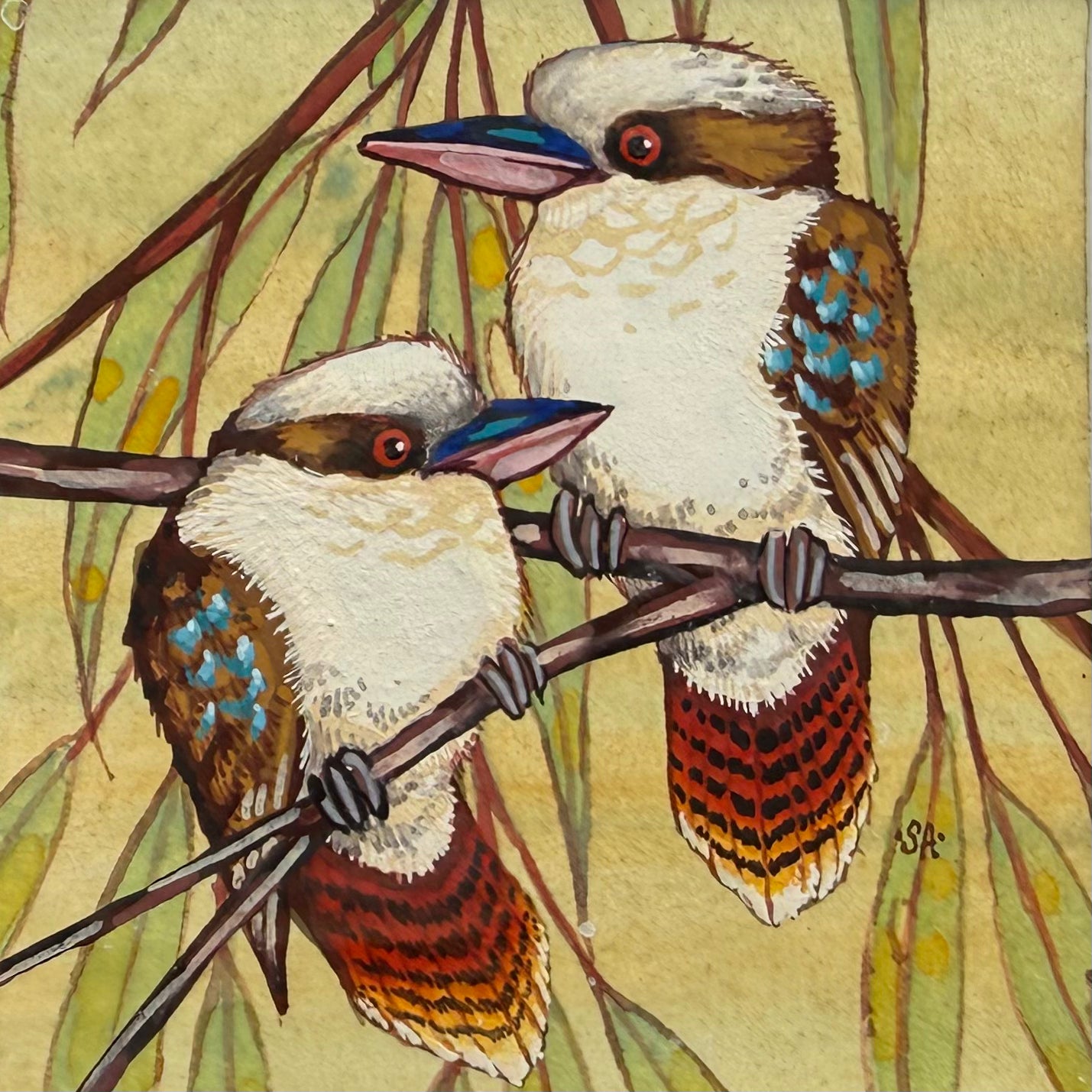 Kookaburra Duo - Navy, Spring 2026